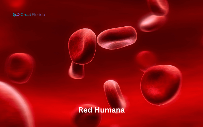 Red Humana